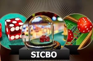 Judi Sicbo